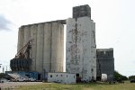 Grain plant